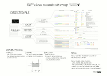 ELF 文件结构
