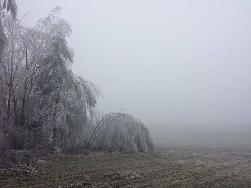 File:Eis im Waldviertel 2014 sl2.jpg