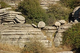 8.1.08 El Torcal