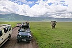 Vignette pour Tourisme en Tanzanie