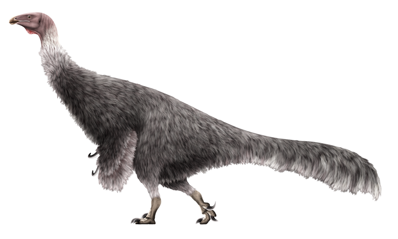 File:Erlikosaurus Restoration.png