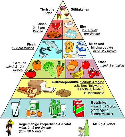 Pyramide alimentaire — Wikipédia