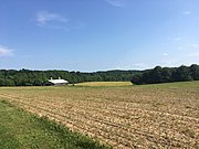 Farm near Fair Hill MD