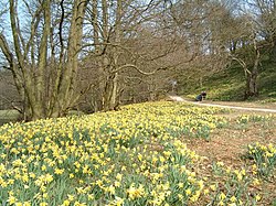 Farndale - geograph.org.inggris - 148.jpg