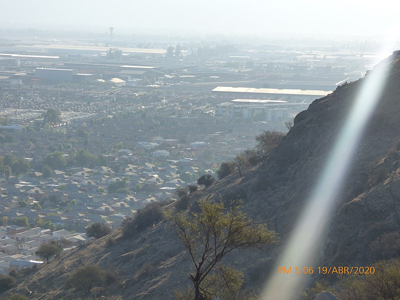 File:Fauna Cerro Colorado , Renca , Santiago de Chile 7.jpg