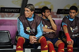 Fernando Torres Euro 2012 vs France bench.JPG