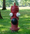 * Nomination Fire hydrant at the University of Victoria's quadrangle, BC --Trougnouf 20:53, 28 February 2019 (UTC) * Promotion Good quality Rodhullandemu 22:37, 28 February 2019 (UTC)
