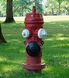 Fire hydrant at the University of Victoria, BC (DSCF5631).jpg