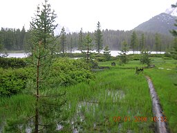 First Bench Lake