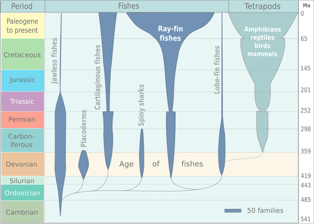 diagram of fish diversity over evolutionary time