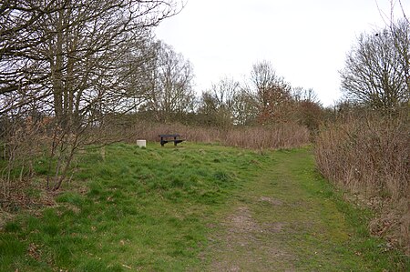 Fisher's Field 3