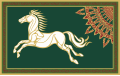 Kingdom of Rohan (decorated).