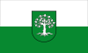 Флаг Бохольта 