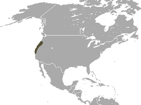 Descrierea imaginii Fog Shrew area.png.