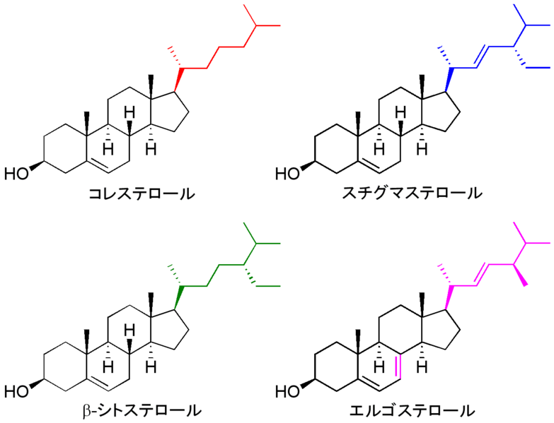 File:Four steroids.png