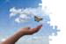 Freedom-Hand-Butterfly puzzles.png