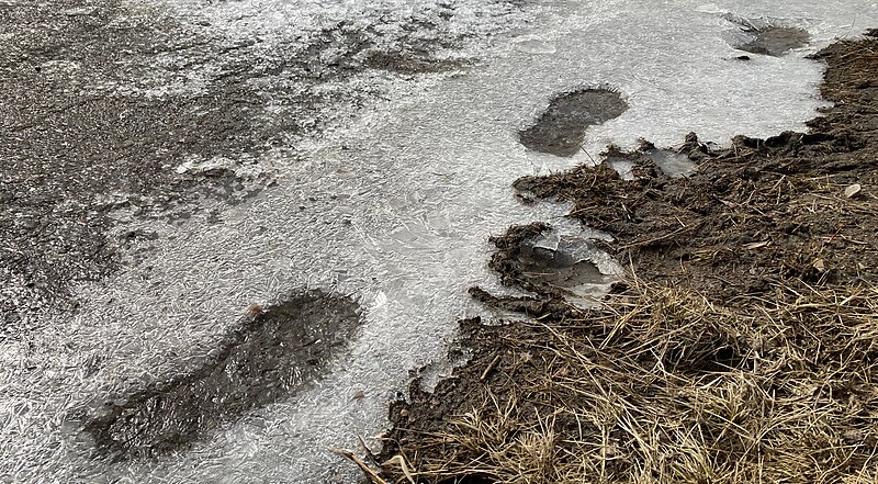 File:Frosted Footprints.jpg