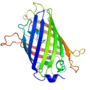 Pienoiskuva sivulle Vihreä fluoresoiva proteiini