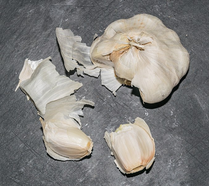 File:Garlic 01.jpg