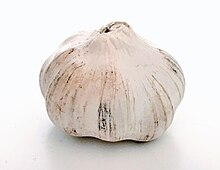 A garlic bulb Garlic whole.jpg