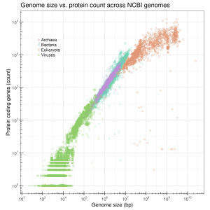 Variation in genome sizes of viruses, prokaryotes, and eukaryotes Genome size vs protein count.svg