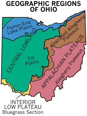 Bluegrass region