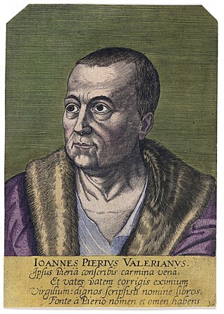 <span class="mw-page-title-main">Pierio Valeriano Bolzani</span> Italian humanist