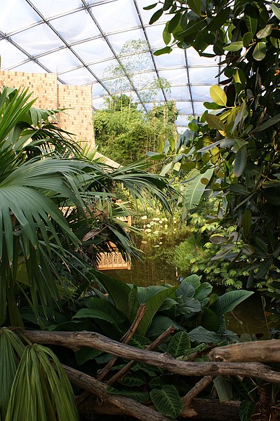 File:Gondwanaland - panoramio.jpg