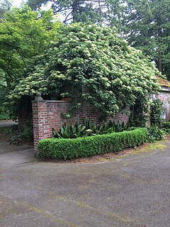 <span class="mw-page-title-main">International Rose Test Garden</span> Public park and rose garden in Portland, Oregon, U.S.