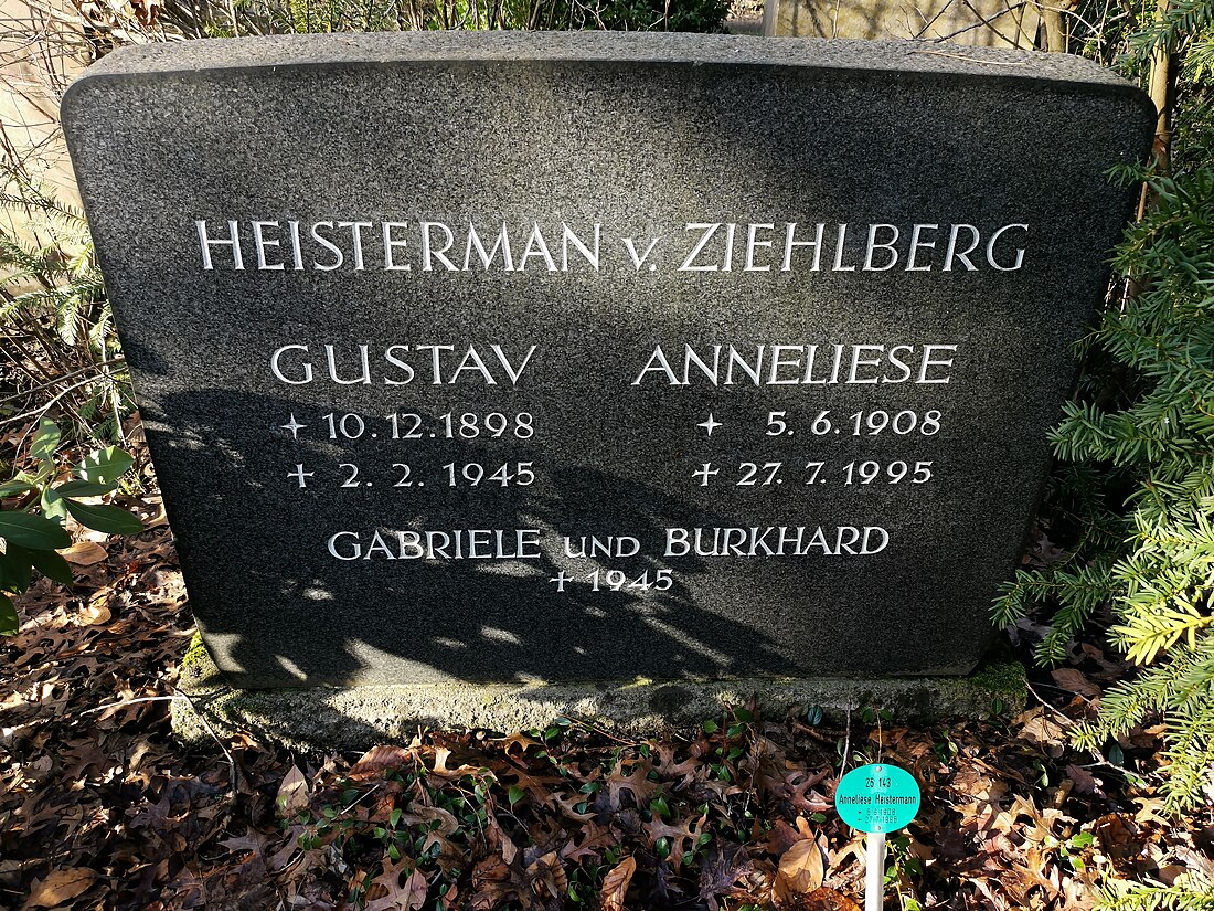 Gustav Heisterman von Ziehlberg