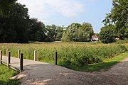 Path over swamp in Harburger Stadtpark