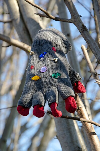 File:Handschuh im Baum.jpg
