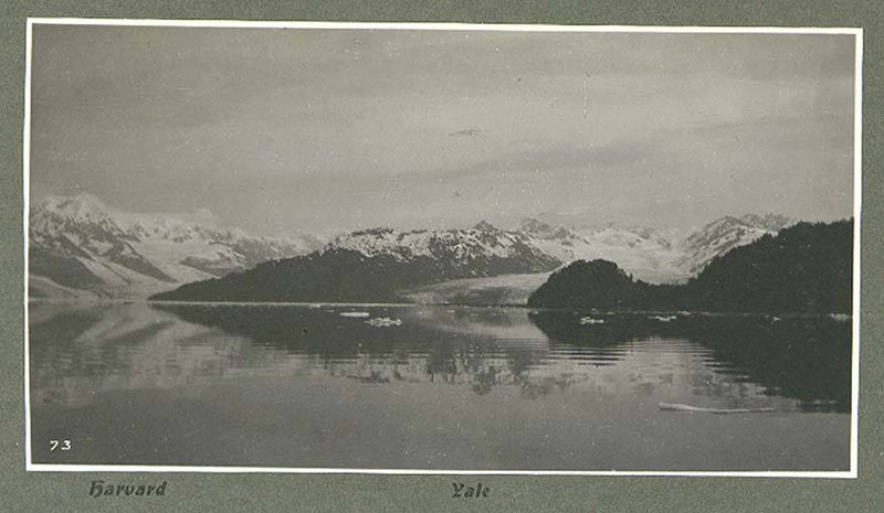 File:Harvard Glacier, left, and Yale Glacier, right, at the head of College Fiord, Prince William Sound, Alaska, June 1899 (HARRIMAN 116).jpg