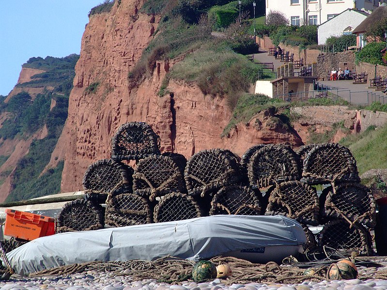 File:Have You got Crabs - panoramio.jpg