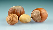 Hazelnuts (Corylus avellana) - whole with kernels.jpg