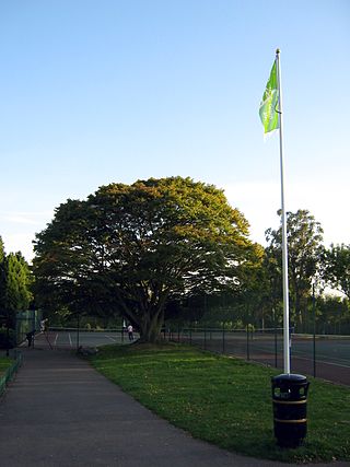 <span class="mw-page-title-main">Hendon Park</span> Park in London, England
