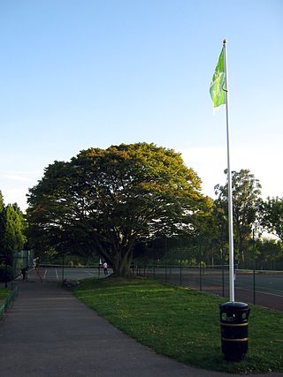 <span class="mw-page-title-main">Hendon Park</span>