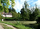 Čeština: Rybník v obci Kamenná Lhota v okrese Benešov ve Středočeském kraji. English: Pond in the village of Kamenná Lhota,Benešov District, Central Bohemian Region, Czech Republic.