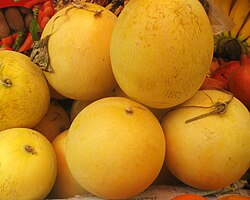 Melons: HONEY DEW ( Medovaya Rosa) Melon