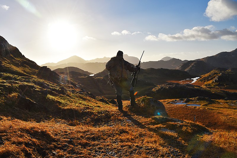 File:Hunting caribou in Adak, Alaska (30550465704).jpg