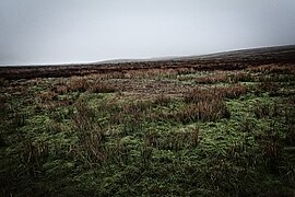 Hutchen Gill Head - geograph.org.uk - 5353998.jpg