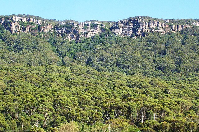 Illawarra Escarpment above Austinmer, showing Hawkesbury sandstone, Rainforest and Eucalyptus forest.