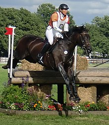 Ingrid Klimke riding Butts Abraxxas, 2010 Ingrid Klimke und Butts Abraxxas, Hindernis 16c, CIC Schenefeld 2010.JPG