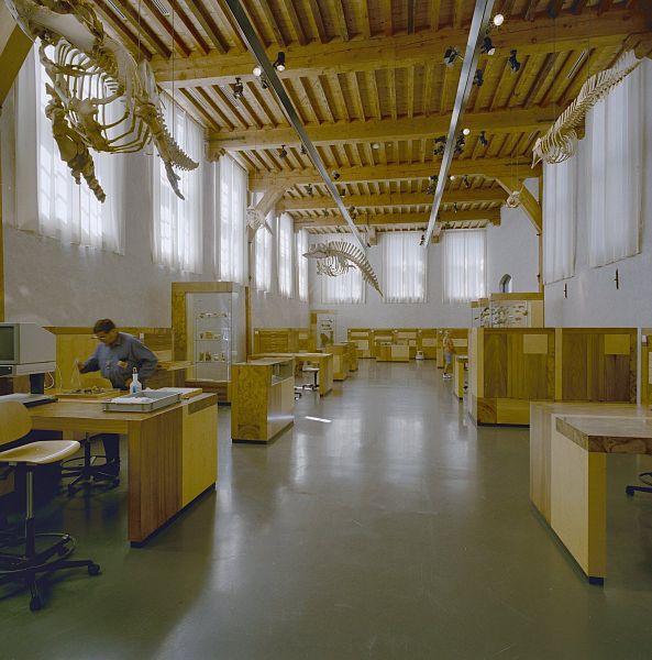 File:Interieur werkruimte, overzicht plafond met houten balken - Leiden - 20338222 - RCE.jpg