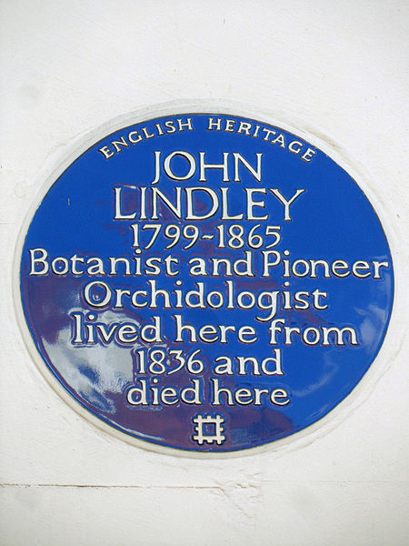 File:JOHN LINDLEY 1799-1865 Botanist and Pioneer Orchidologist lived here from 1836 and died here.jpg