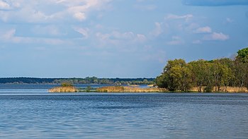 Туравське водосховище