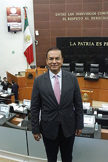 José Manuel del Río Mexican politician