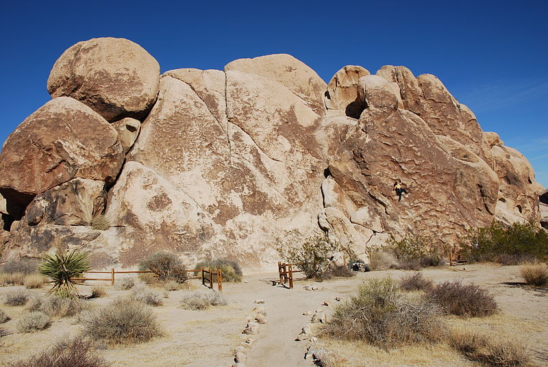 File:Joshua Tree - Pixie Rock 1.jpg