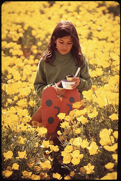 File:KATHY MARTIN CARRYING A PLANT HOME FROM SCHOOL THROUGH A FIELD OF YELLOW POPPIES - NARA - 542703.jpg