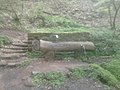 Die Karlsbergquelle im Sanddorfer Wald